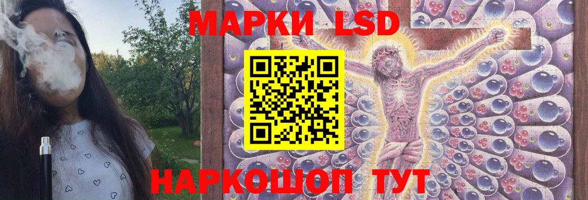 Псилоцибиновые грибы Волжск