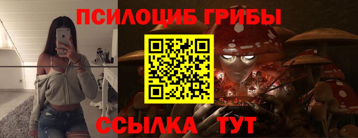 Псилоцибиновые грибы Psilocybe  Вход с VPN  Галлюциногенные грибы прущие грибы  Волжск 