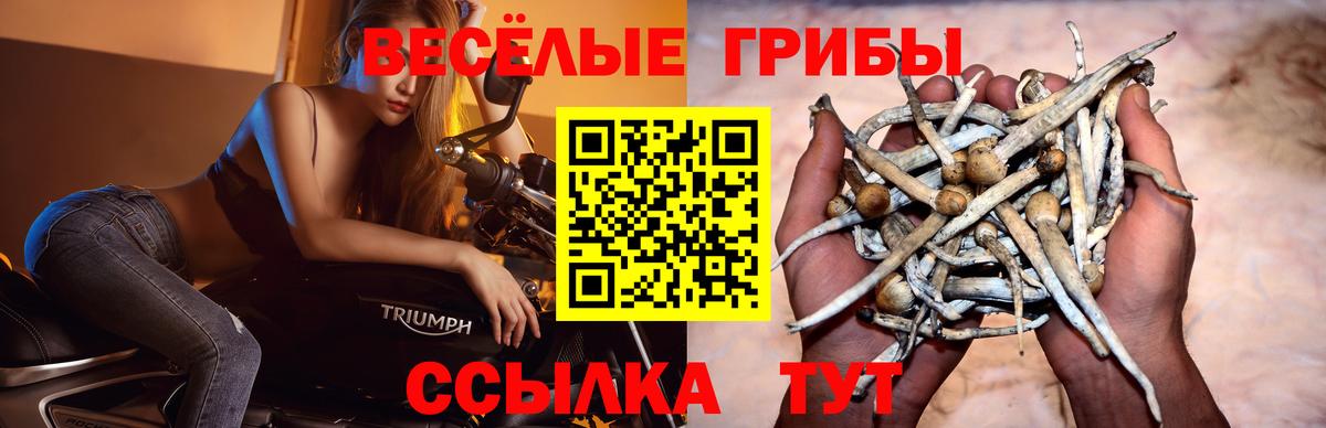 Псилоцибиновые грибы Magic Shrooms Волжск