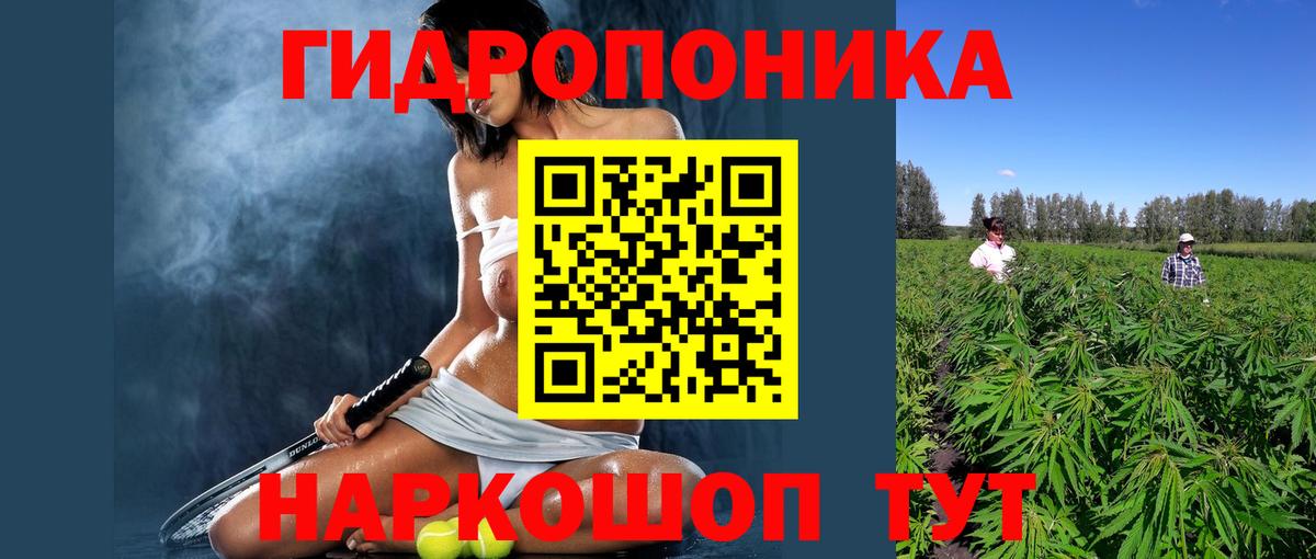 Бошки марихуана White Widow Волжск